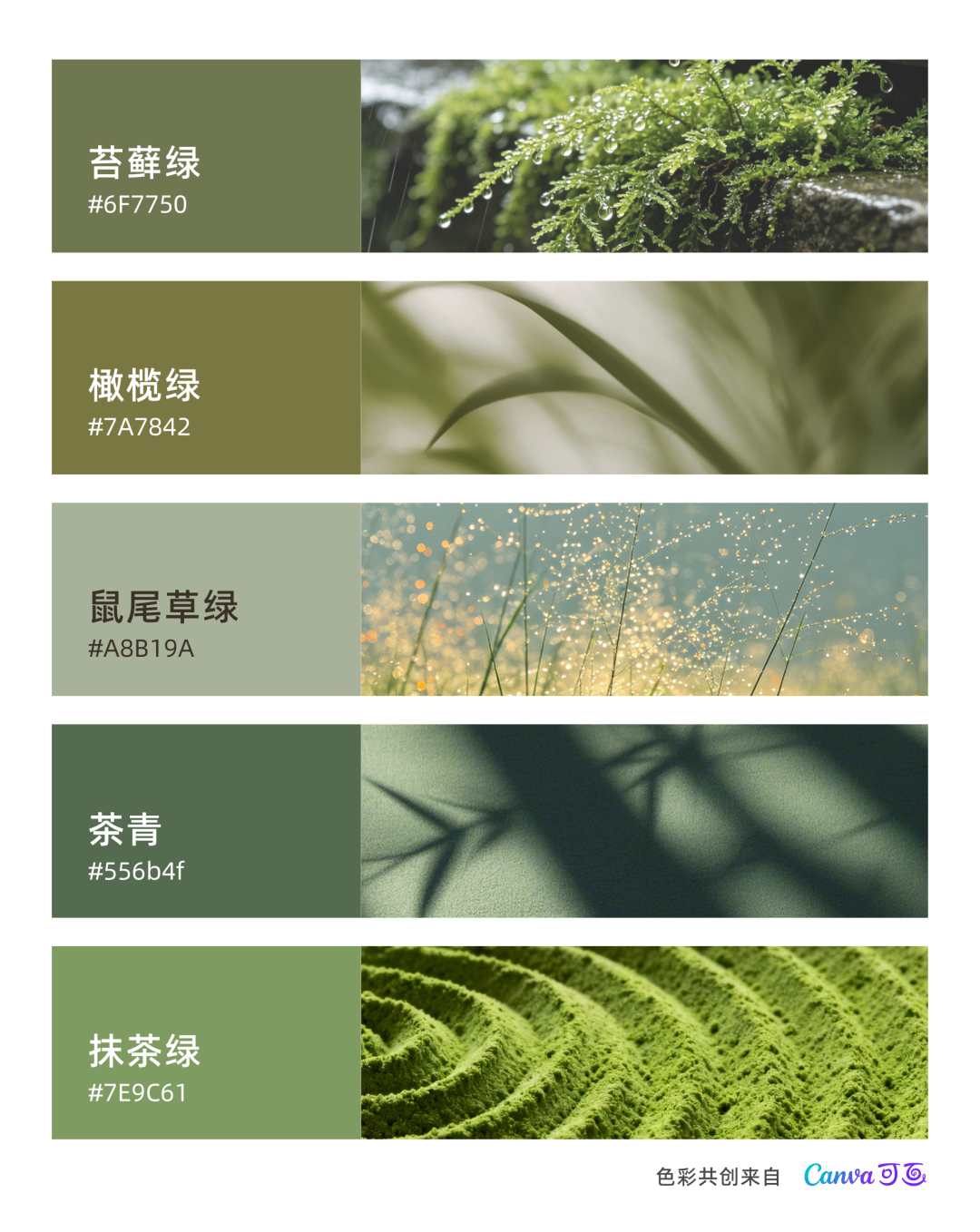 秋冬趋势洞察 | “流行色”种草指南