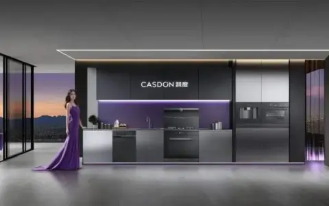 传统巨头围剿下，凯度如何撕掉“网红”标签