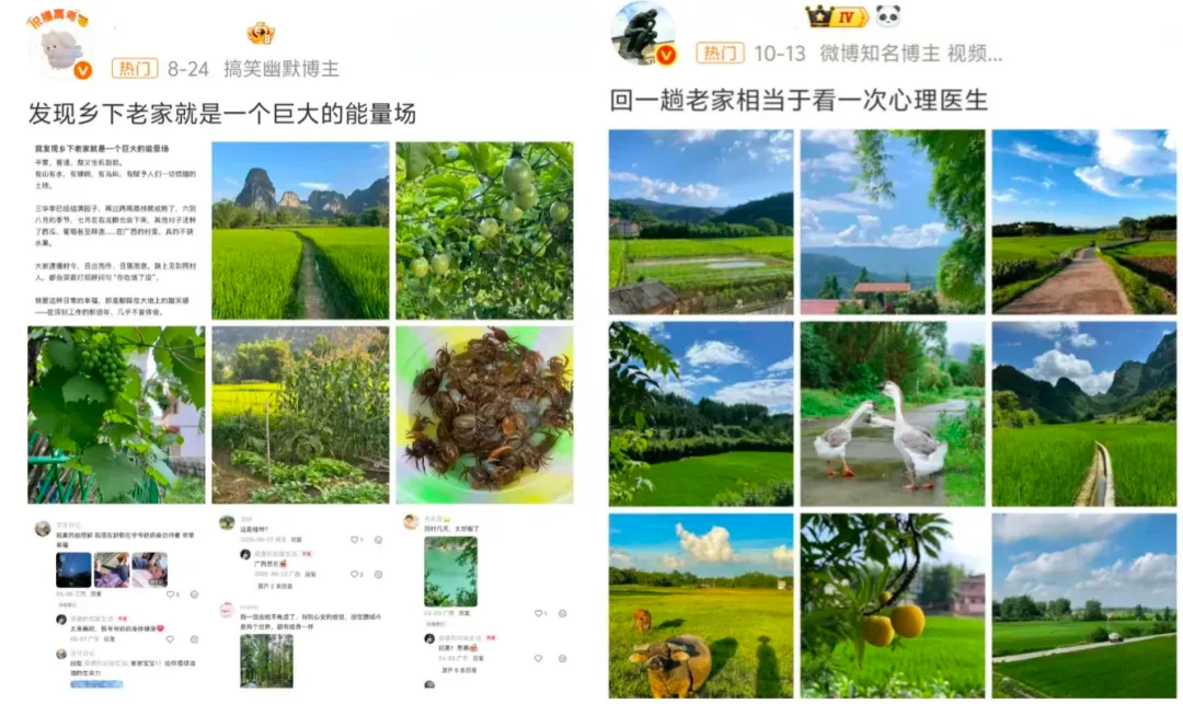 AI时代,“家”正成为人们抵御快节奏的慢变量