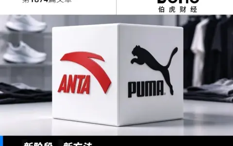 收购彪马，安踏又赌对了？