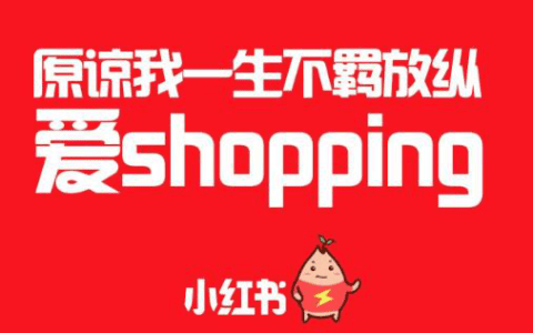 小红书笔记怎么靠前排名？小红书内部快速排名机制流出！