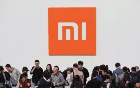 小米营销给出3招解决增长的最后一道鸿沟跨越