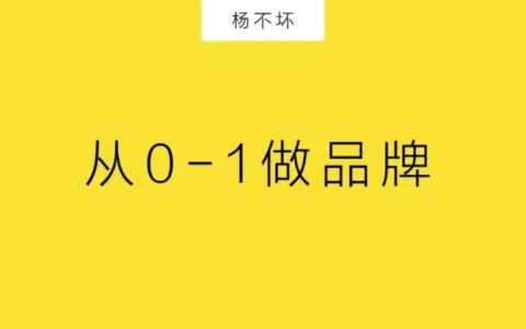 杨不坏方法论：从0-1做品牌