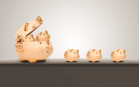 以前有个客户特别好，每次都来买很多，可惜现在孩子大了，不来了