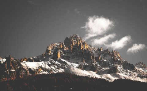 市场营销技术新蓝图：对混乱市场营销技术的整合模型