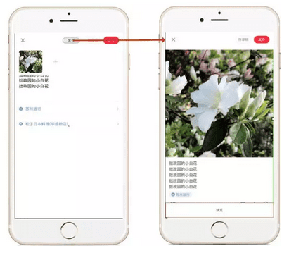 小红书 : 产品分析报告