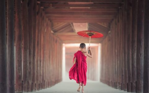 与其追佛系热点，不如跟佛系学做营销