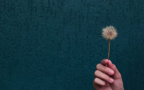 5大文案类型都没弄清，还谈文案写作？