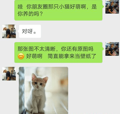 如何通过一张猫的照片，洞悉女神现在哪里？