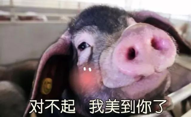 “戏精”网易刷屏背后的“套路”