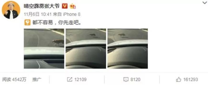 这个网络推手：居然孵化出超越papi酱与办公室小野的达人，背后的秘密何在？