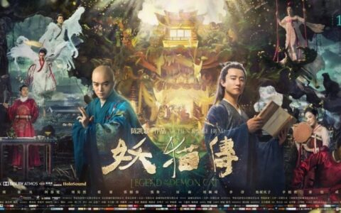 在电商造节的狂热整体衰退之后，IP将会是下一个备受关注的机会点