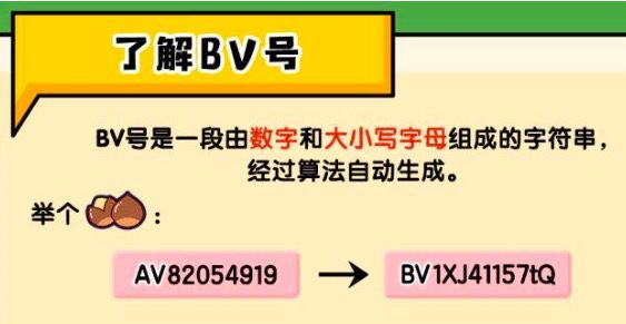 岳遥：22天粉丝突破350W，硬核老师B站爆红背后释放了哪些信号？