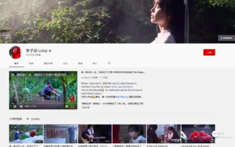 专访李华霖：「李子柒」们的海外合作运营公司怎样看待MCN？