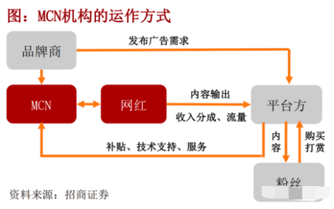 赛博坦：一文带你弄懂“风口上的养猪场”——MCN