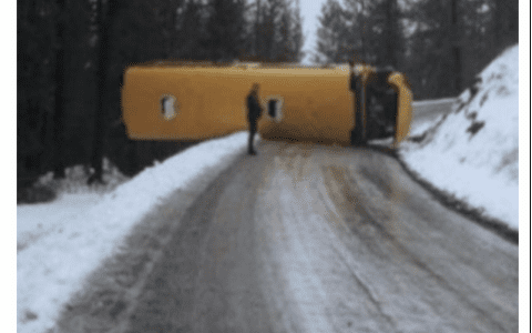 黑天鹅中的大赢家：直面不确定性的三个策略｜大辉