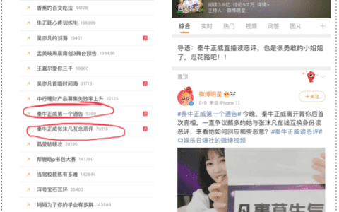微博电商：猥琐发育，不要浪｜赵圆圆