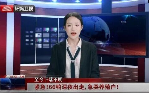 端午节如何做话题营销？