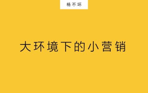 杨不坏：营销大事件，更小颗粒度