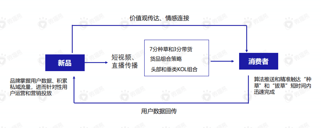 直播带货的黄金组合策略：这份新报告答的都是好问题