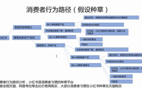 小红书怎么投放？产品种草变现路径解析