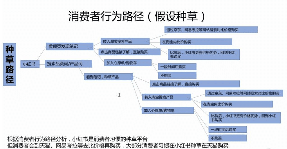 小红书怎么投放？产品种草变现路径解析