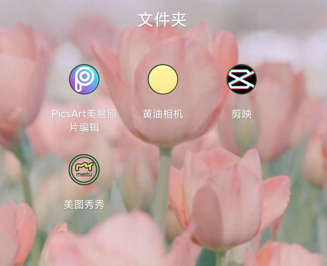 Z清欢：当小红书素人博主到底有多爽？