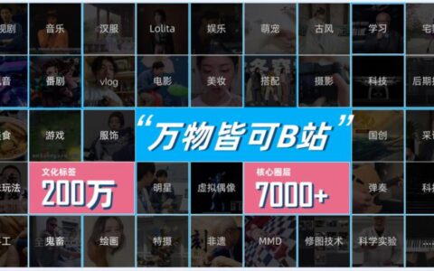 B站花火上线？细细解读B站营销的无限可能