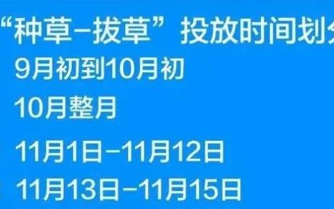 深度解读：小红书双十一全行业品牌“种草”、“拔草”投放攻略