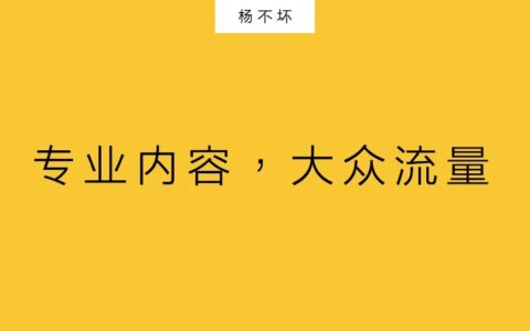 杨不坏：专业内容，大众流量