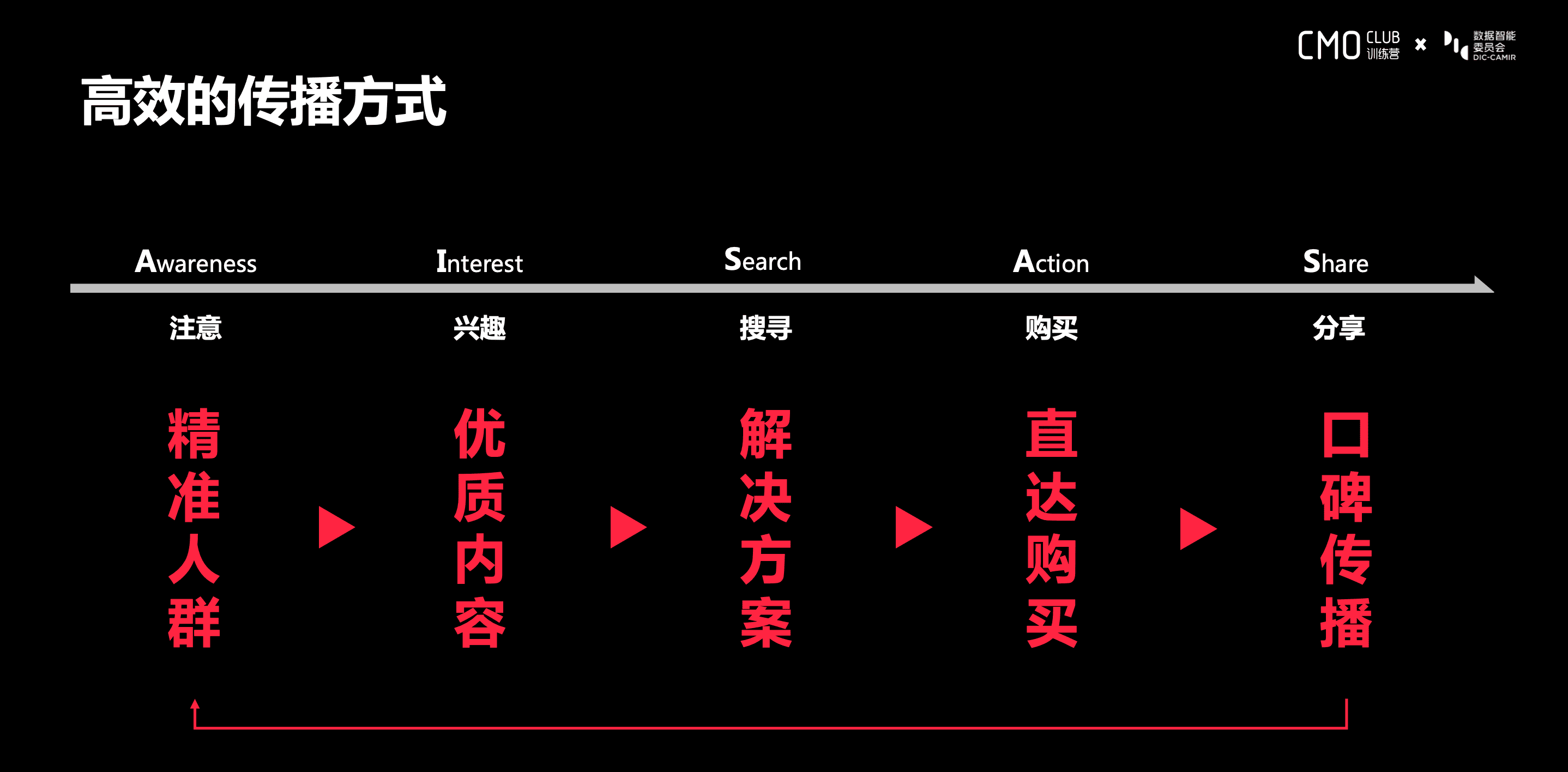 应晨欣：品牌在小红书上的成长路径