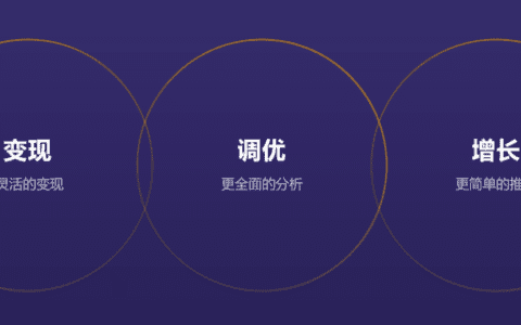 任佳敏：2020微信广告流量主大会全解析