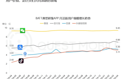 刘亚澜：让流量「流」起来