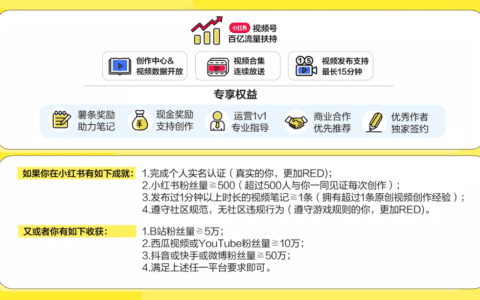 小红书视频号，怎么抢占赚钱的第一波红利？