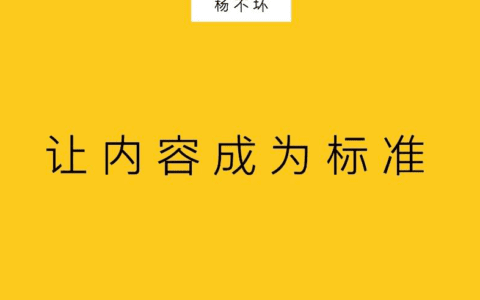 杨不坏：让内容成为标准