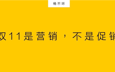 杨不坏：双11是营销，不是促销