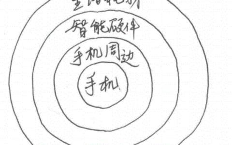 曹欣蓓：小米10年来的增长逻辑总结｜中欧商业评论