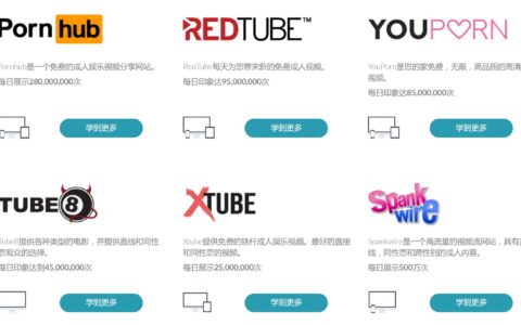 卫夕：在不可描述的网站上打广告是一种神马体验？