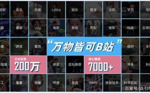 一文揭秘品牌如何在B站快速起飞