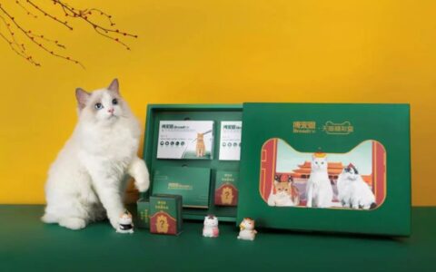 熊猫传媒董事长申晨:真正好传播的内容,一定是被“玩坏”的内容 | 水滴有声课