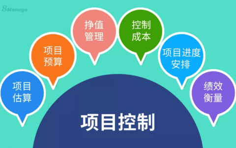 项目控制如何适应不同的项目管理阶段？
