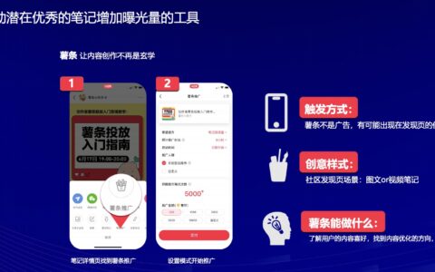 胡描：靠什么冲击100亿美金市值？小红书没有好答案