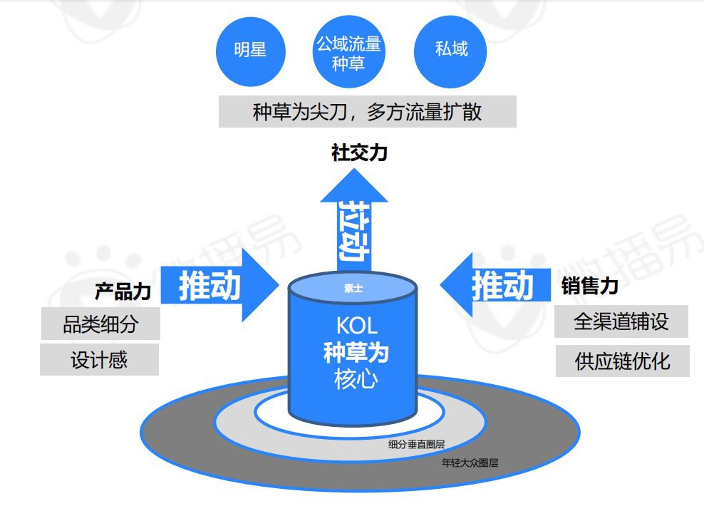 易姐：剖析小家电品牌“素士”，通过社交媒体构建护城河