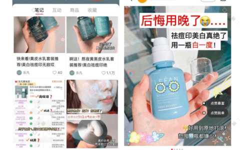 小红书投放如何短时间内给站内带销量｜楠开口