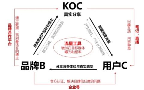 胡晓琪：小红书的本质是什么｜新商业情报NBT