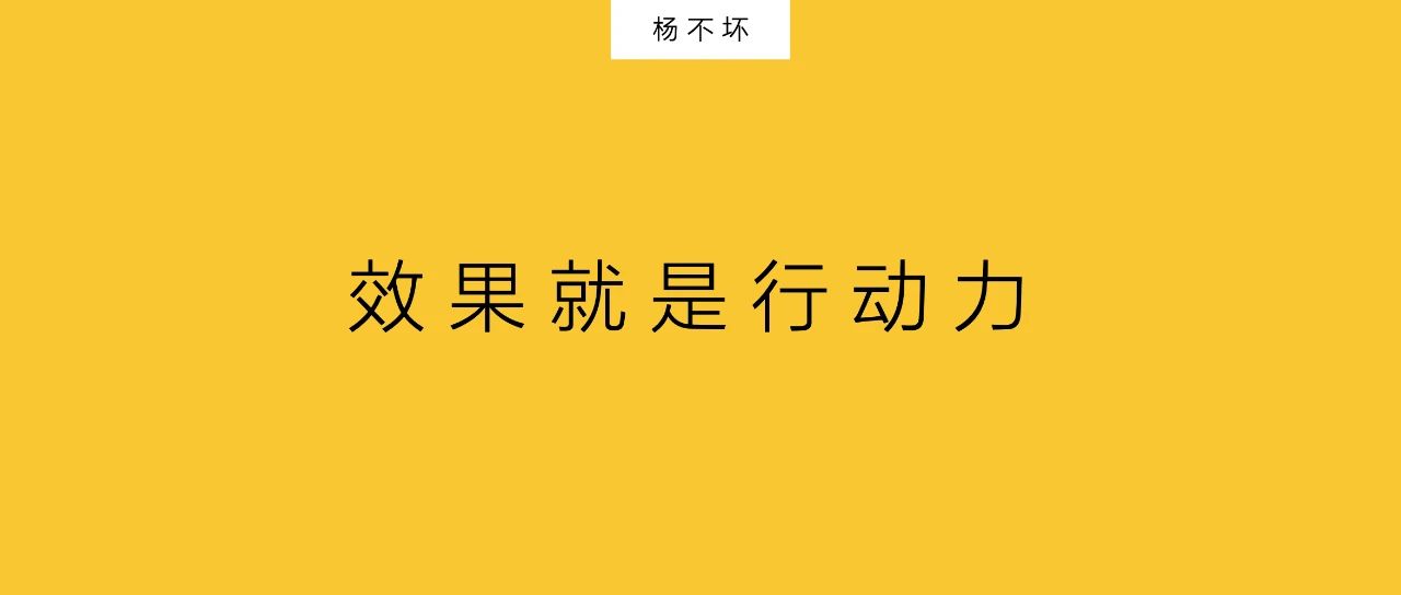 杨不坏：效果就是行动力
