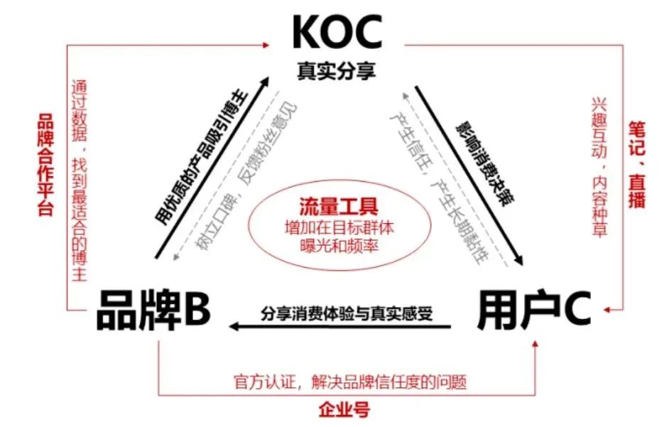胡晓琪:小红书的本质是什么|新商业情报NBT