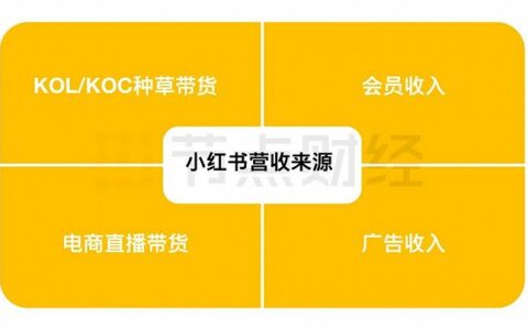 小红书再传上市，如何避成“时代的眼泪”｜节点财经
