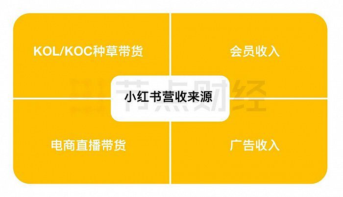 小红书再传上市，如何避成“时代的眼泪”｜节点财经