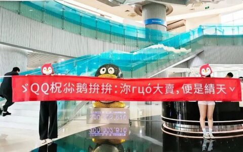 用户想要的社交电商，不是小鹅拼拼的样子｜锌刻度